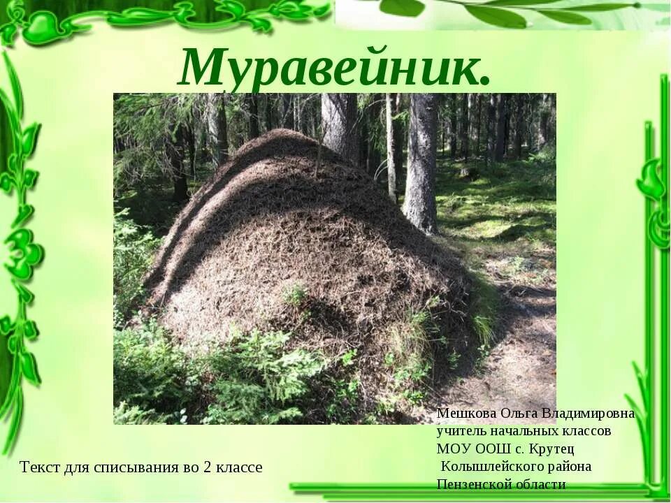 Муравейник 4 класс