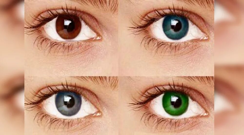 Okvision fusion (2 линзы). Центральная гетерохромия хамелеон. Хазел цвет глаз. Оттенки глаз. Цвета глаз у человека.