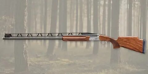 Тайга 30