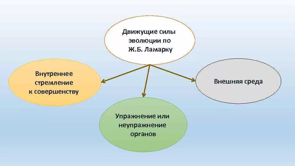 Стремлением организмов к самосовершенствованию
