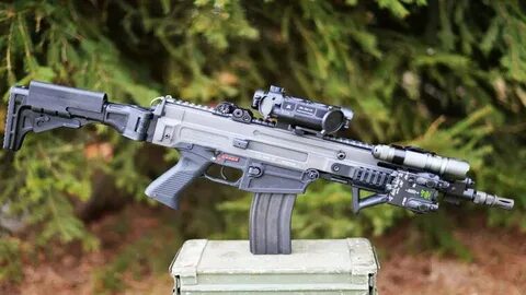 Gun 2024