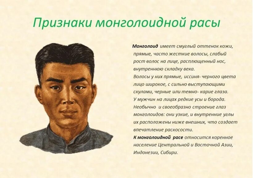 Монголоидная раса характеристика. Монголоидный антропологический Тип. Характеристика монголоигной рассрасы. Черты монголоидной расы.