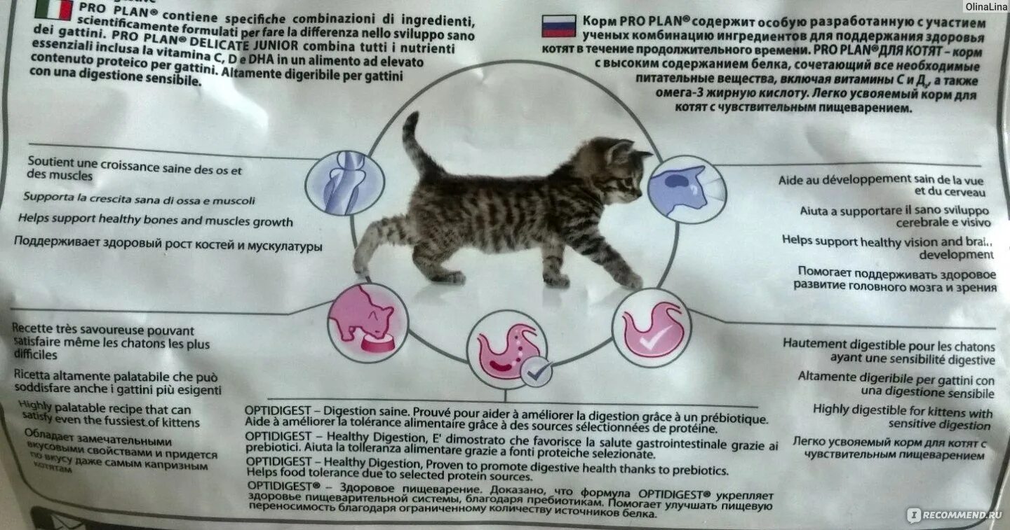 Можно коту сырую печень. Рацион питания котенка. Витамины для котят. Корм для стерилизованных кошек. Жидкое питание для котят.