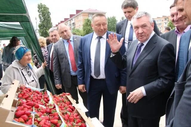 выборы афипский