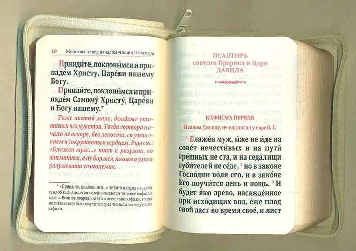 Псалтирь 5 читать. Псалтырь для мирян. Псалтирь карманная. Порядок чтения Псалтири. Чтение Псалтири дома для мирян.