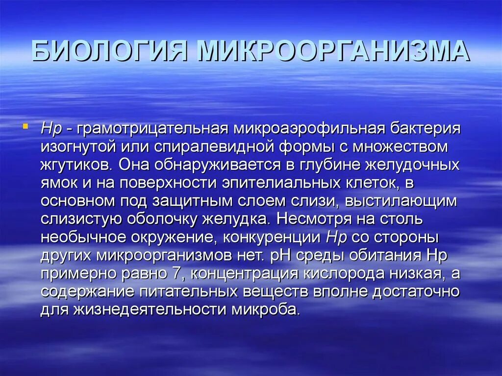 Экспертиза запасов воды. Подземные воды Липецкой области. Микроорганизмы подземных вод. Микроаэрофильные бактерии. Эксплуатационные запасы подземных вод.