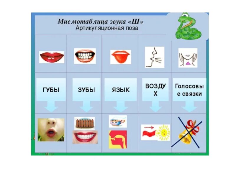 Ш ж р