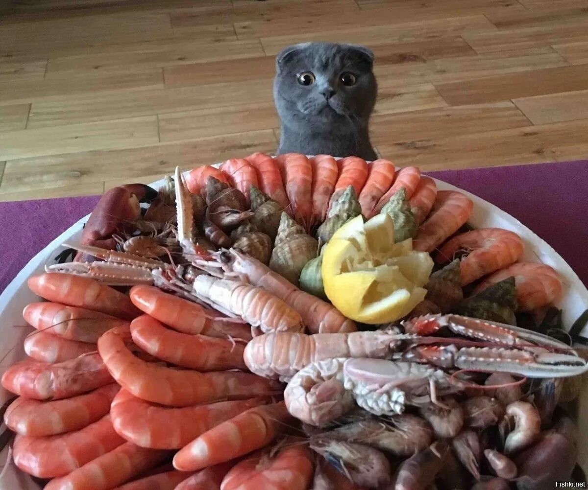 Захотела покушать