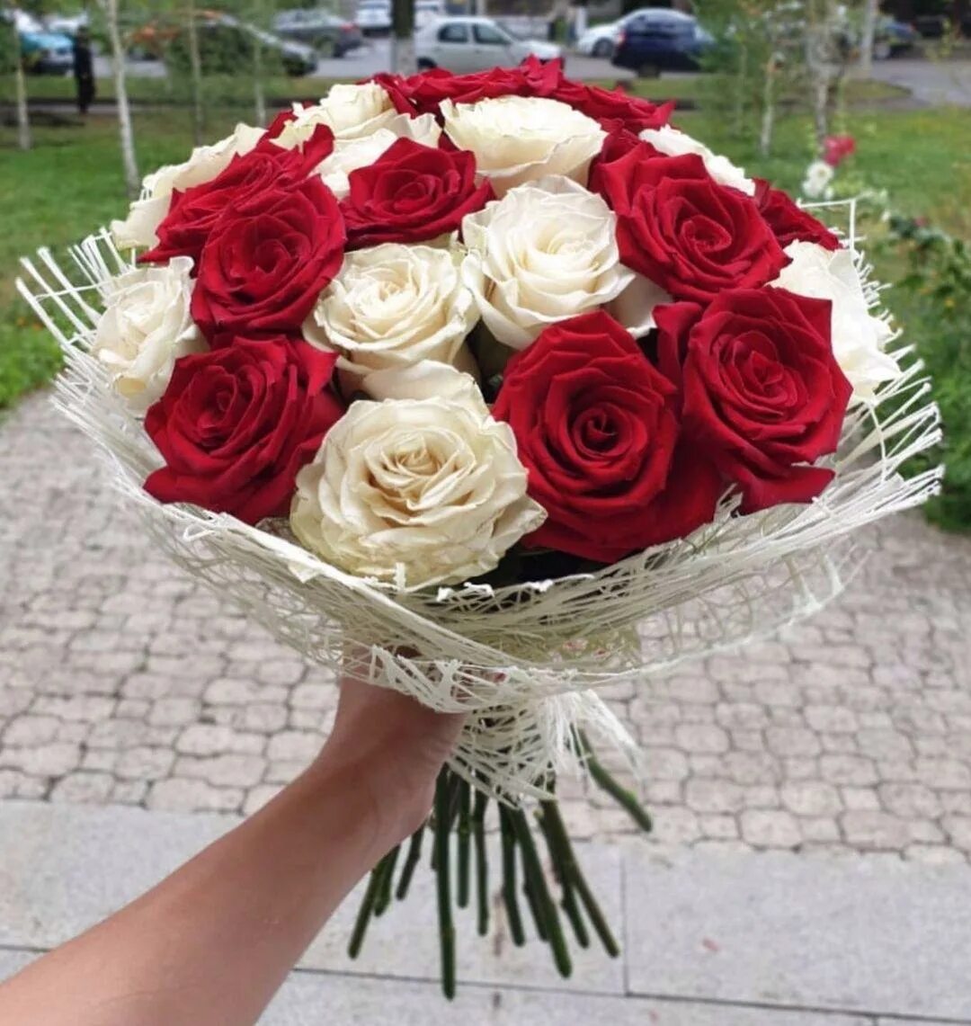Доставка цветов роз заказать. 25 Роз Эквадор 50 см. Букет роз. Букет из 25 роз. Букет из роз 50 см.