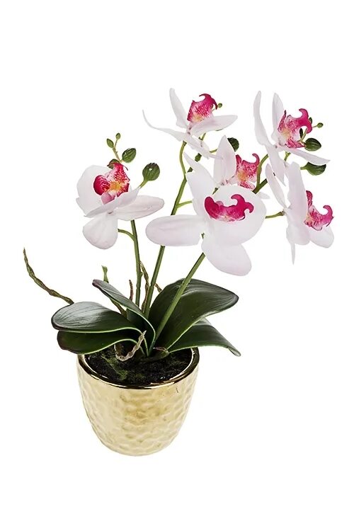 Орхидея купить нижний новгород в горшке. Орхидея декоративная. Декоративные фаленопсис. Кашпо для орхидей декоративное. Орхидея в горшке розовая с белым.