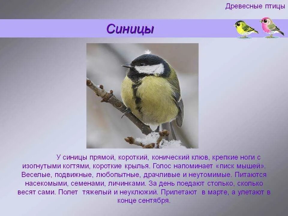 Приспособление синицы