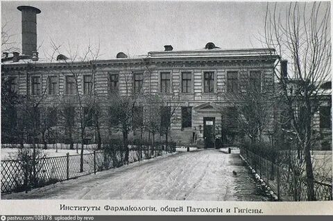 Институт гигиены