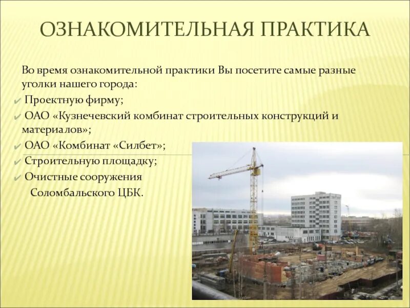 Экспертиза и управление недвижимостью кем работать. Кузнечевский комбинат строительных конструкций и материалов. экспертиза и управление недвижимостью специальность. ознакомительная практика. сообщение ксск.