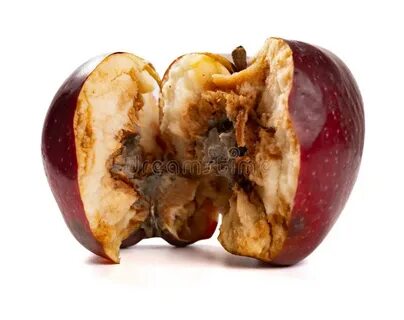 Опыт с сосудами и кусочками гнилого мяса