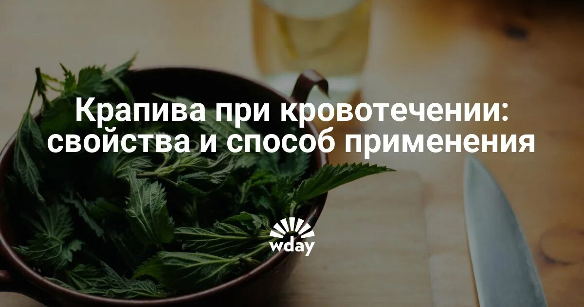 Крапива при месячных отзывы. Крапива при кровотечениях. Отвар крапивы при кровотечениях. Настой крапивы от кровотечения. Отвар крапивы при кровотечениях из матки.