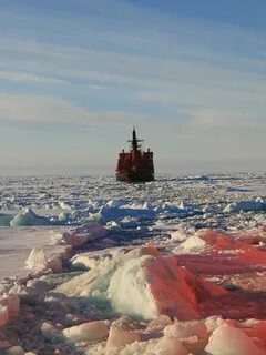 Шельф северного ледовитого океана