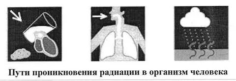 Радиоактивные вещества проникают в организм человека
