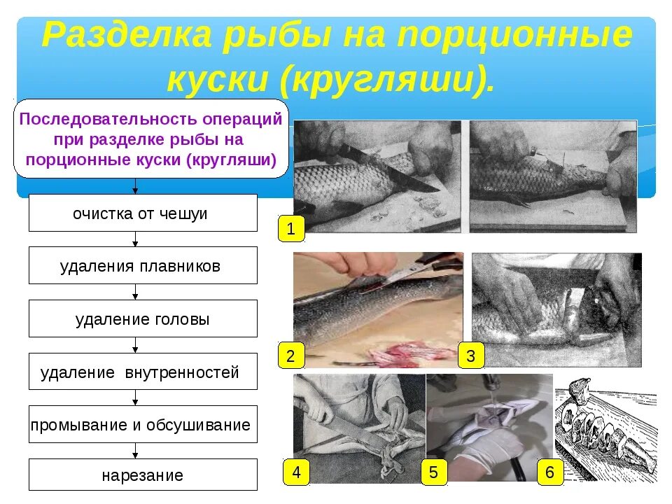 Последовательность разделки рыбы. Последовательность разделки рыбы на кругляши. Схема разделки рыбы. Схема обработки чешуйчатой рыбы.