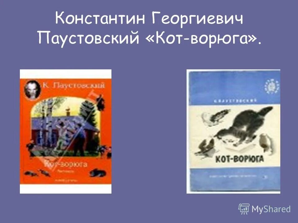 Конспект урока к г паустовский кот ворюга. Кот-ворюга книга.