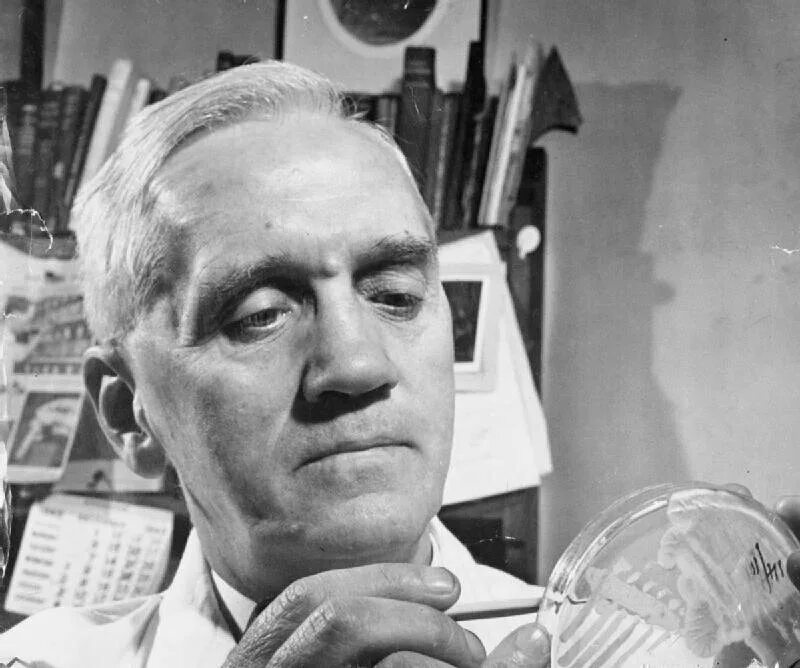 Alexander fleming discovered penicillin. Флеминг. 1928 Флеминг.