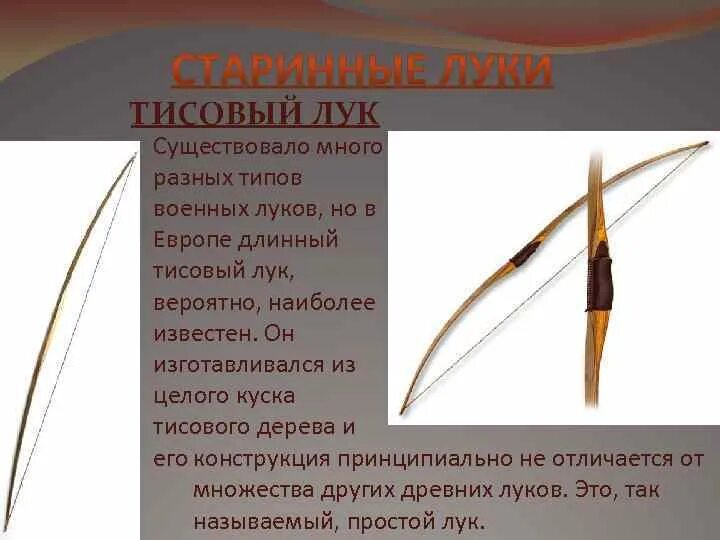 Лук культурное растение. Сообщение про луковые растения. Лук информация для детей. Европейский лук. Сообщение о растении лук.