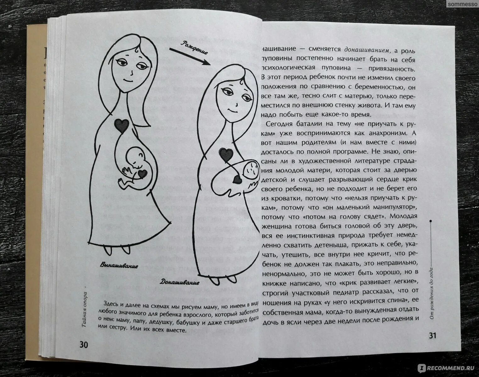 Читать книгу тайная опора. Привязанность петрановская. книга тайна опора.