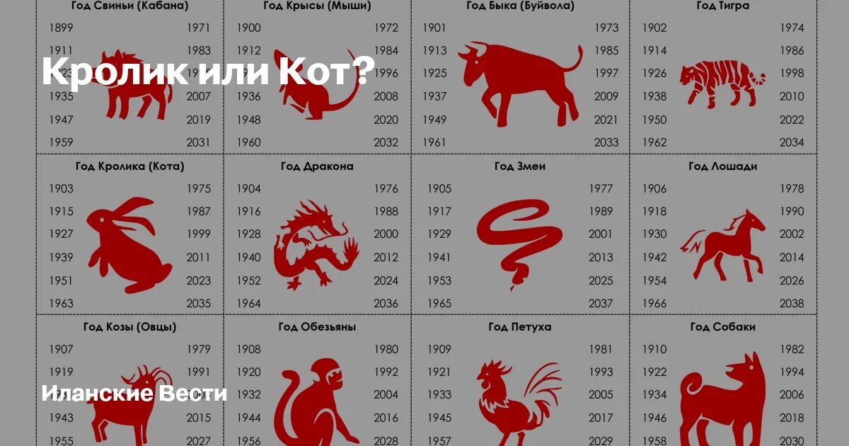 Сколько будет новый год 2024. Год кота и кролика. Год какого кролика 2023. Следующий год кролика. Год кролика следующий год.
