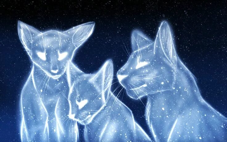 Фото синий звезды из котов Pin on Warrior Cats Warrior cats funny, Warrior cat drawings, Warrior cats