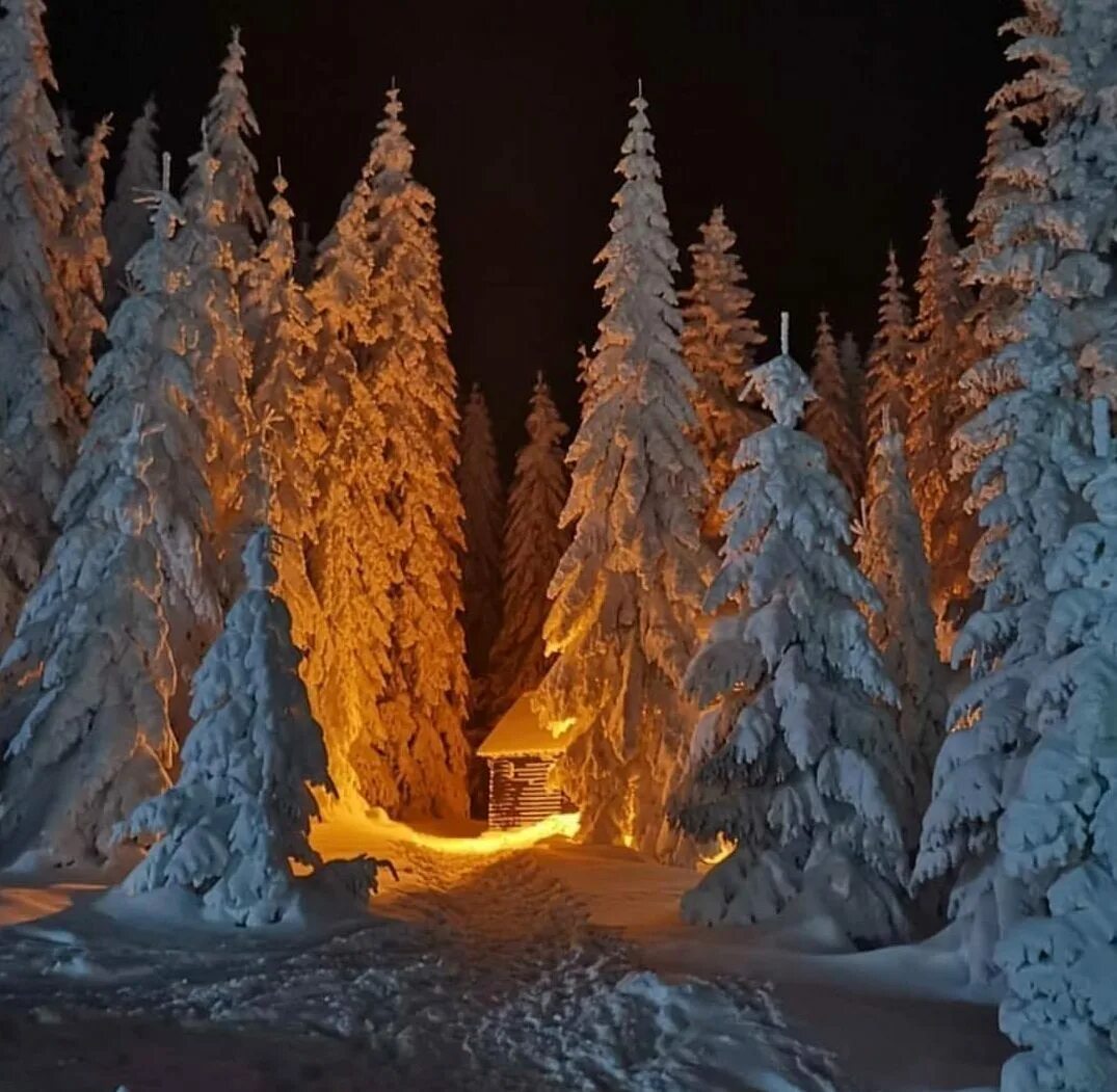 Фотография зимняя сказка