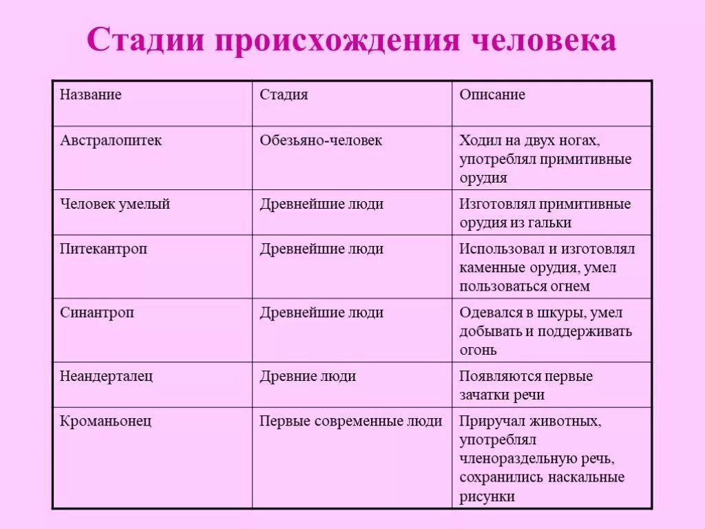 Древнейшие люди таблица. Основные этапы происхождения человека таблица. Этапы этапы происхождения человека. Этапы развития человека биология 5 класс. Стадии развития человека таблица 9 класс биология.