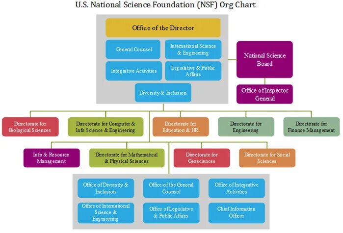 Национальный научный фонд США. Организационная структура университета. Institutional structure. Сеть National Science Foundation Network первая команда разработчиков.