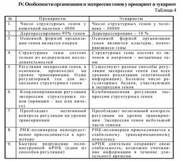 Особенности экспрессии генов у прокариот и эукариот