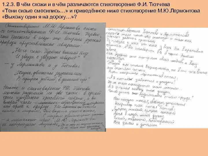 Прочитав приведенные ниже стихотворений. Тени сизые смесились. Стихотворение тени сизые. Тени сизые Тютчев. Стихотворение Тютчева тени сизые смесились.