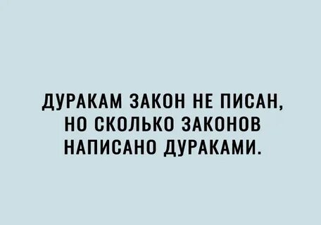 Закон ей не писан