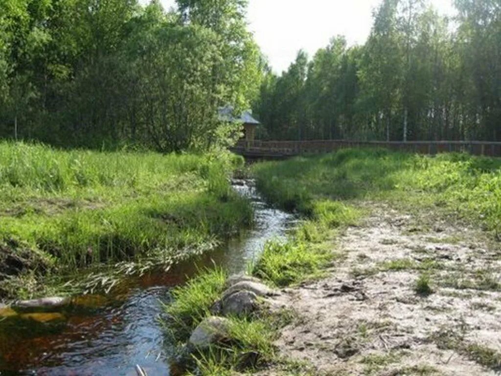 Исток реки Волга. Начало реки Волги Исток. Исток реки реки. Исток Волги Родник.