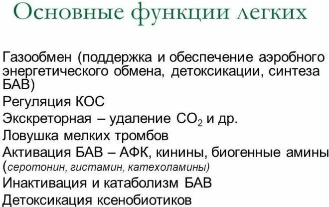 Какие функции легких. Функции легких. основные функции легких. легкие функции кратко. функции лёгких человека.