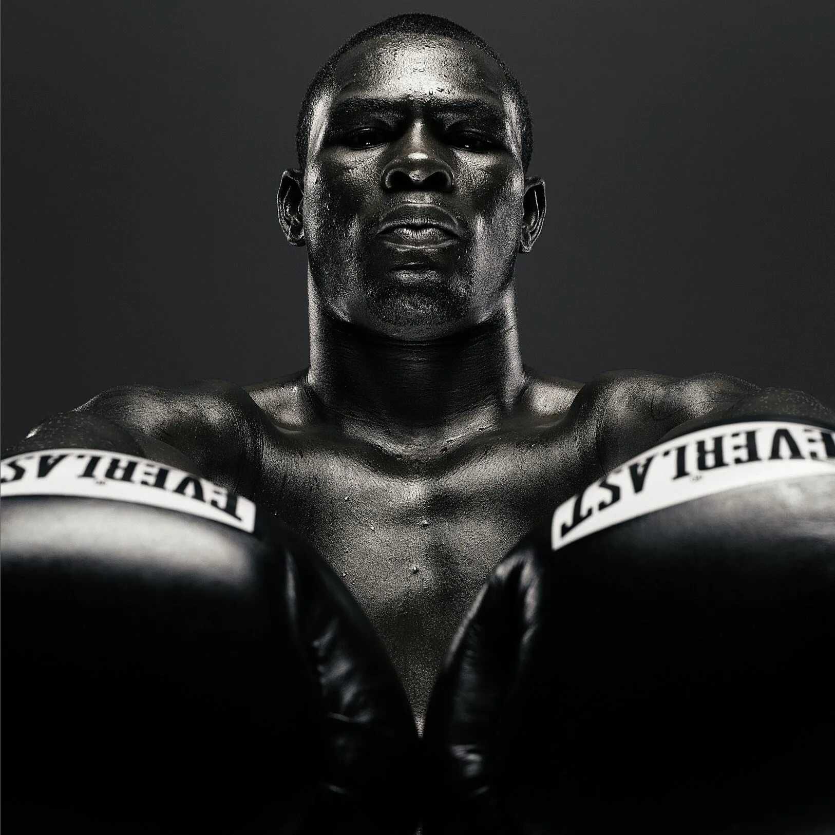 Study boxing