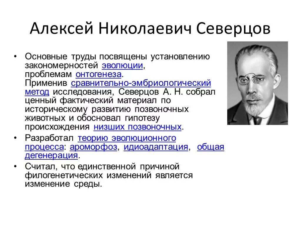 В основе теории развития лежит. Северцов направления эволюции. Основные направления эволюции Северцов. Северцов Эволюция.