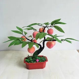 Персиковое дерево из косточки