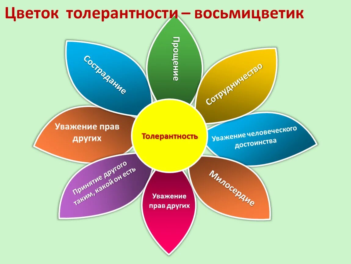 Проспект толерантности в санкт петербурге как называется. Цветок толерантности. виды толерантности. толерантность в виде цветка. основные принципы толерантности.