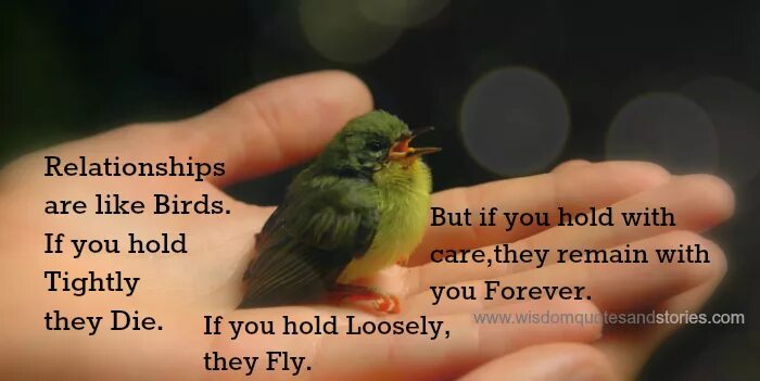 They like birds. Hold tightly. Bird holding something. Coro Love Bird. Like a Bird.