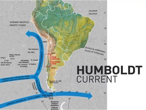 Южная Америка перуанское течение. Перуанское Холодное течение. Течение Гумбольдта. Перуанское течение на карте.
