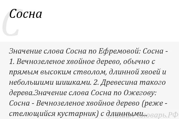 Слово хвойный. Сосна лексическое значение. Что такое сосна Толковый словарь. Толкование слова сосна. Сосна лексическое значение 5 класс.