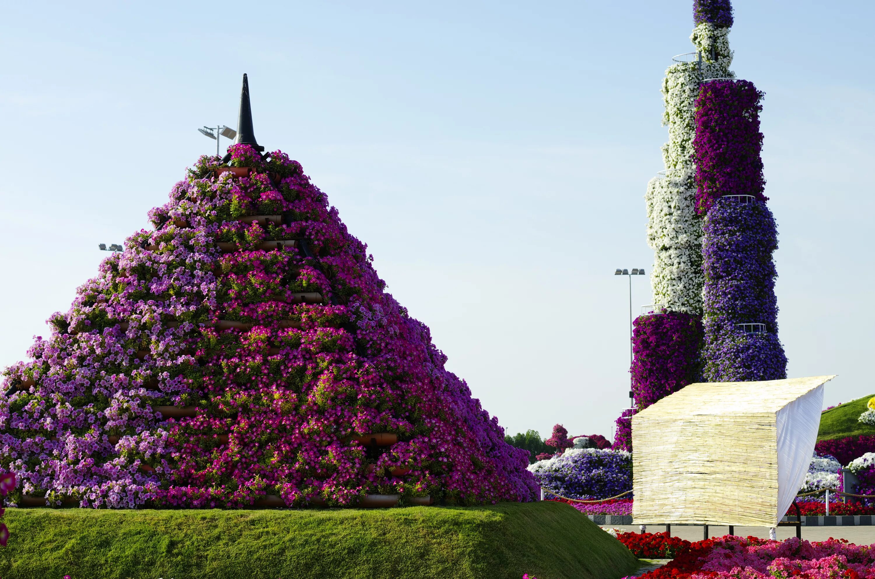 аллея цветов в дубае. томаты садовое чудо. чудеса сада отзывы. миракл гарден парк цветов дубай. абу даби парк цветов.