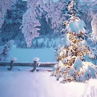 Зима она как