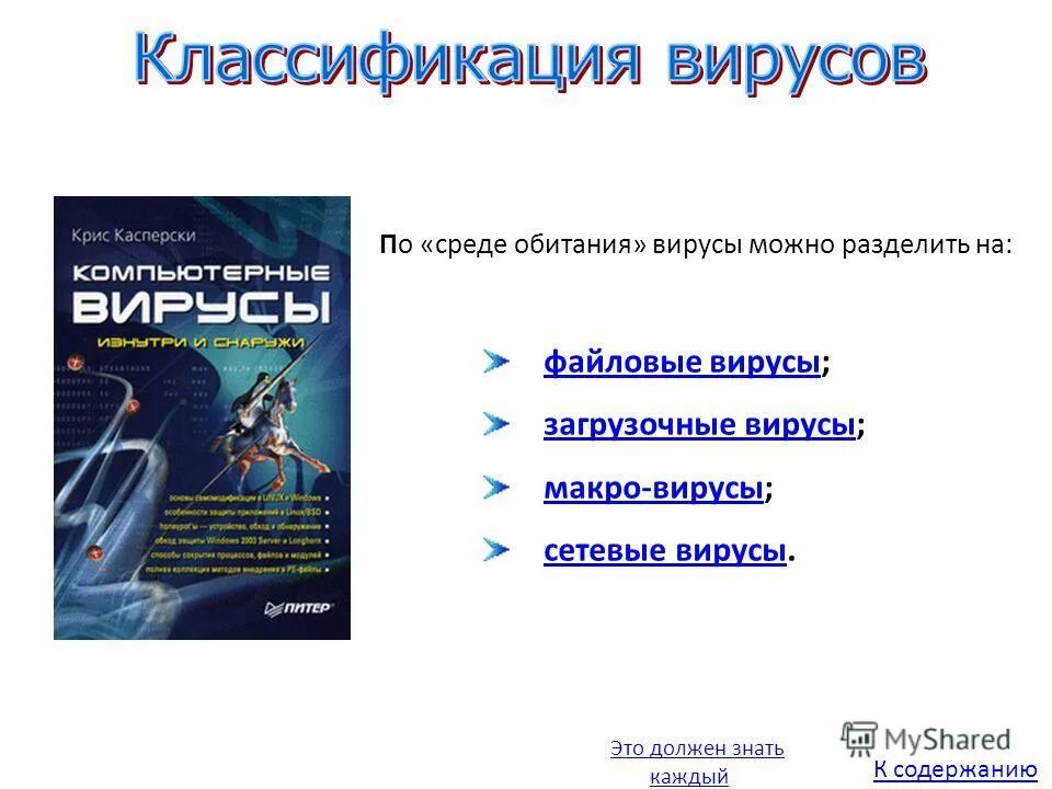 чем отличаются макровирусы от обычных загрузочных вирусов