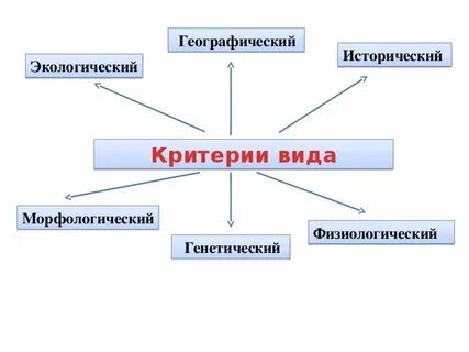 Методы структурной биологии презентация