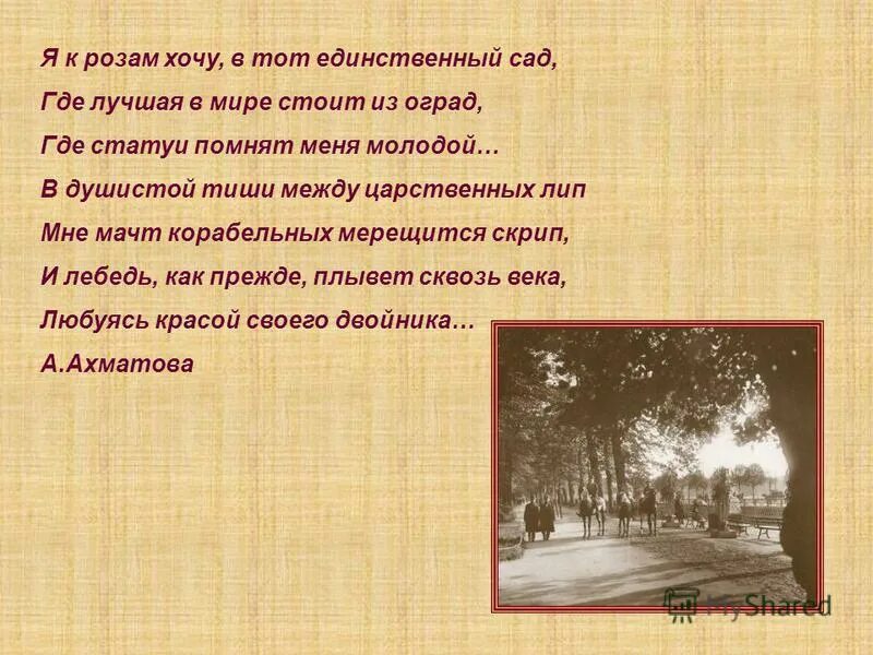 стихотворение ахматовой летний сад. я к розам хочу ахматова. я к розам хочу в тот единственный сад где. летний сад анализ. стихотворение ахматовой летний сад.