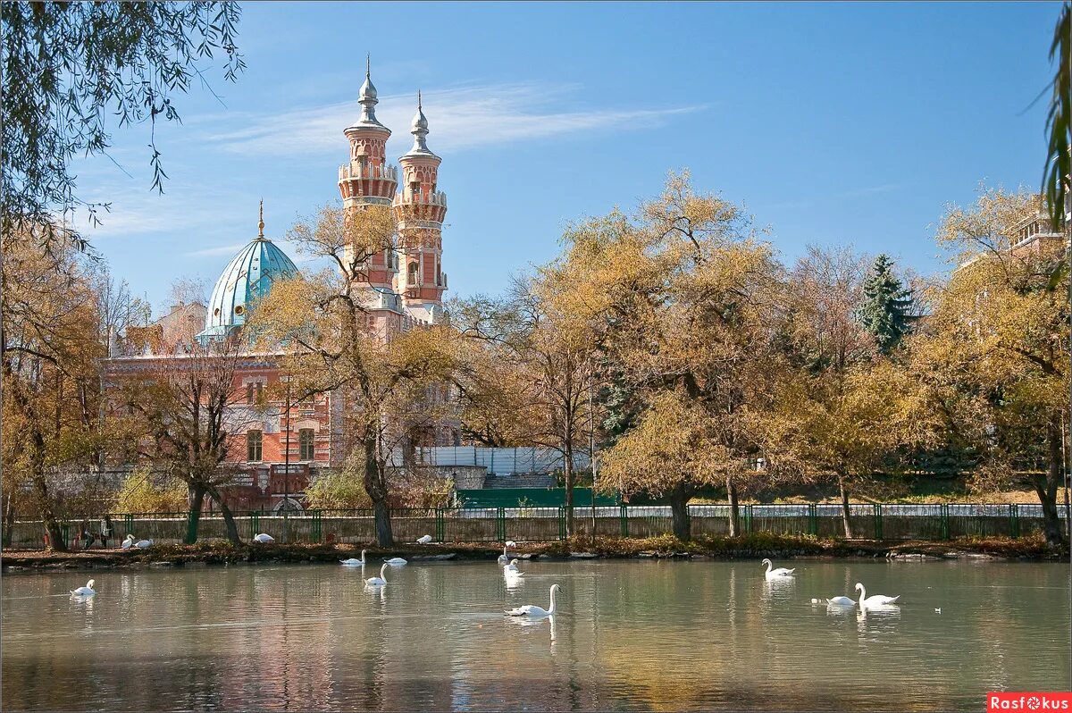 набережная владикавказ. владикавказ весной. владикавказ 2023 фото. владикавказ парк хетагурова. владикавказ в декабре.