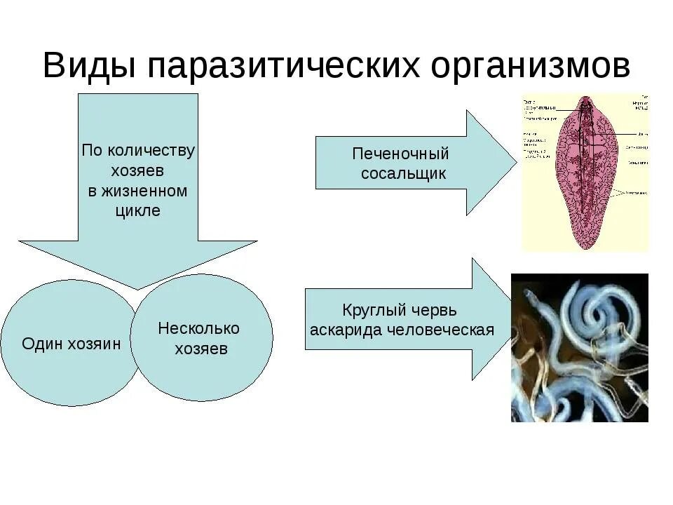 Паразитический стиль жизни